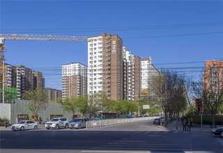 保山麦吉丽精华素