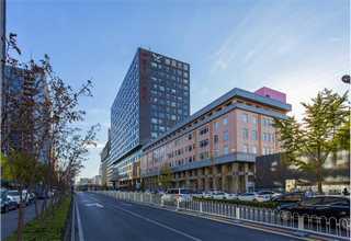 湖北80DF凸轮分割器报价